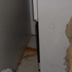 DSCF0014